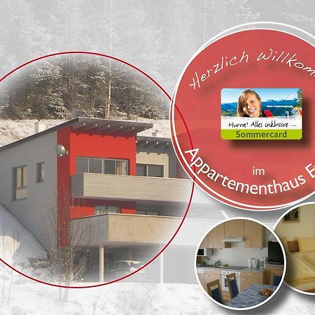 Appartementhaus Evelyn Schladming Ngoại thất bức ảnh