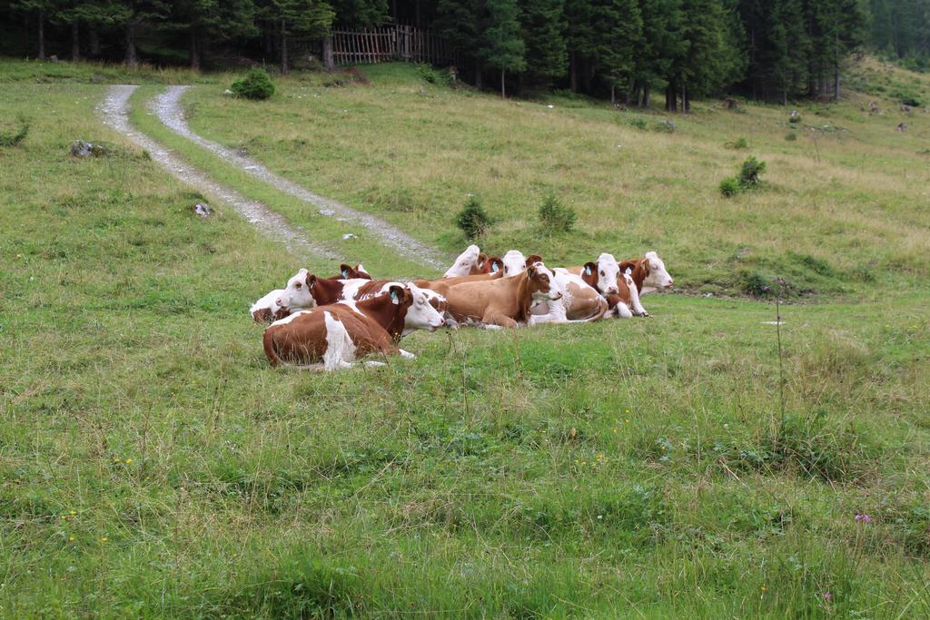 Appartementhaus Evelyn Schladming Ngoại thất bức ảnh