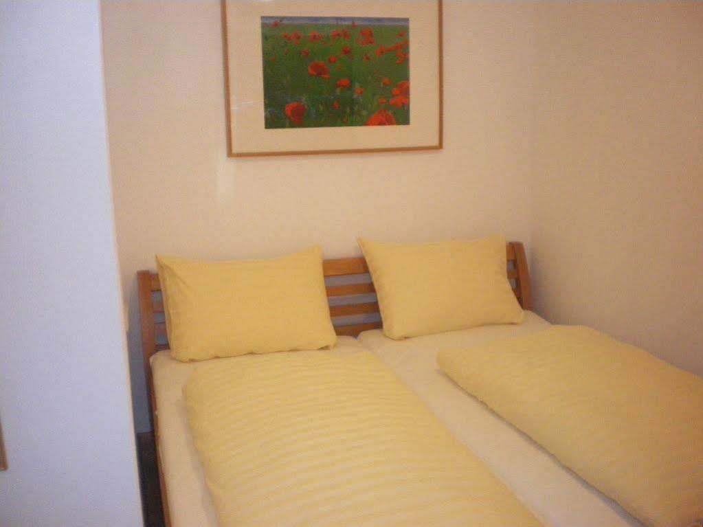 Appartementhaus Evelyn Schladming Ngoại thất bức ảnh